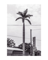 2002-06-03 04.48.18-2